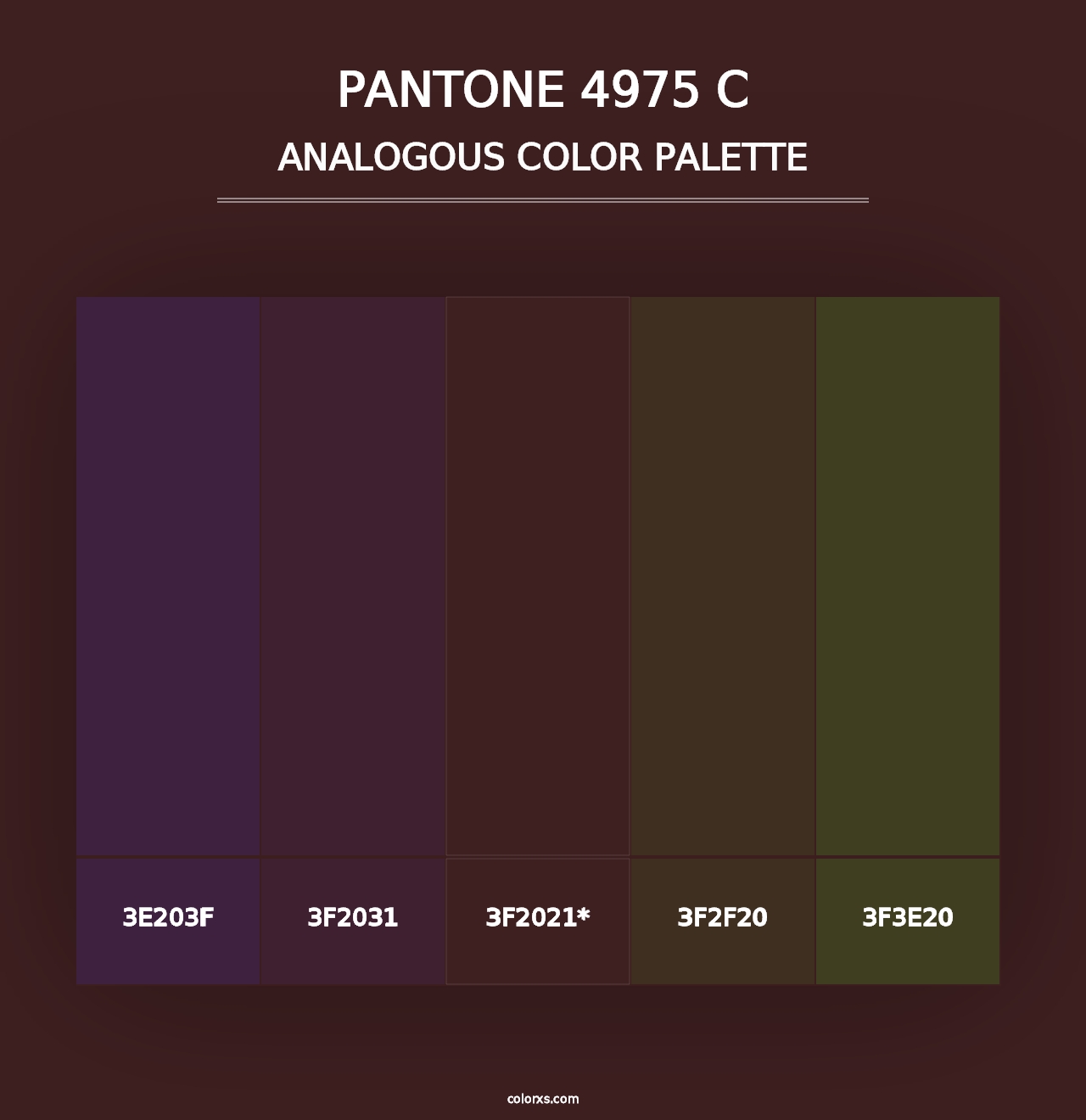 PANTONE 4975 C - Analogous Color Palette