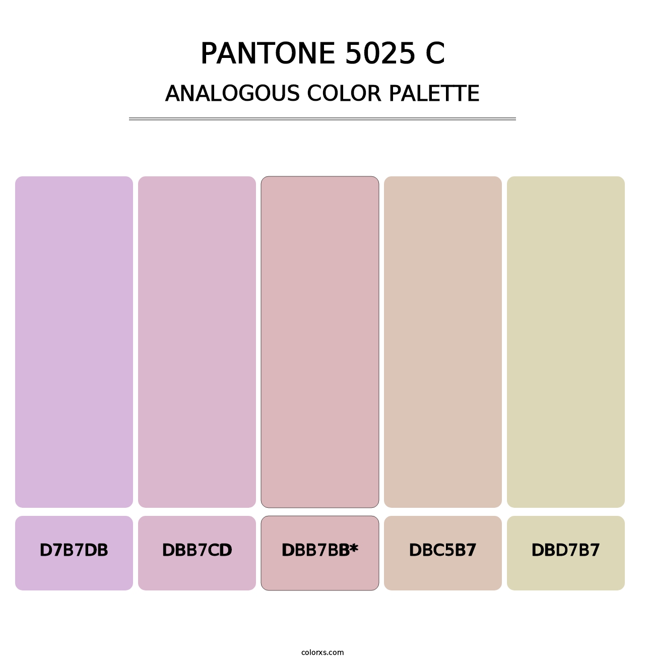 PANTONE 5025 C - Analogous Color Palette