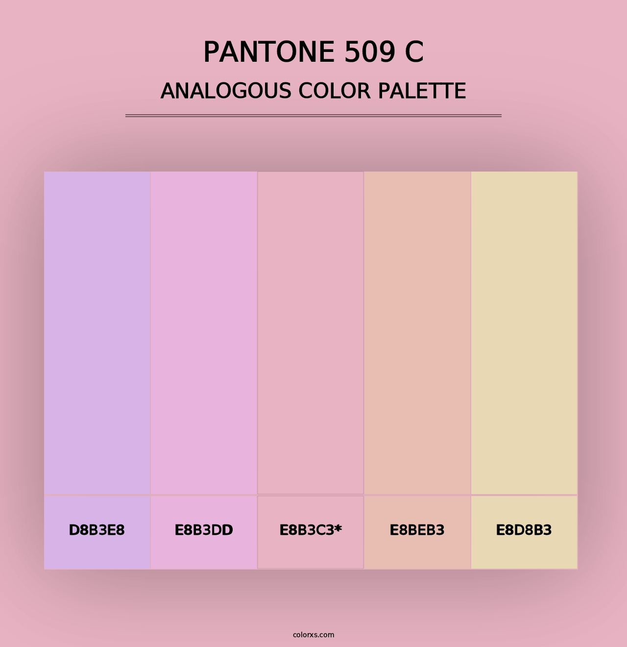 PANTONE 509 C - Analogous Color Palette