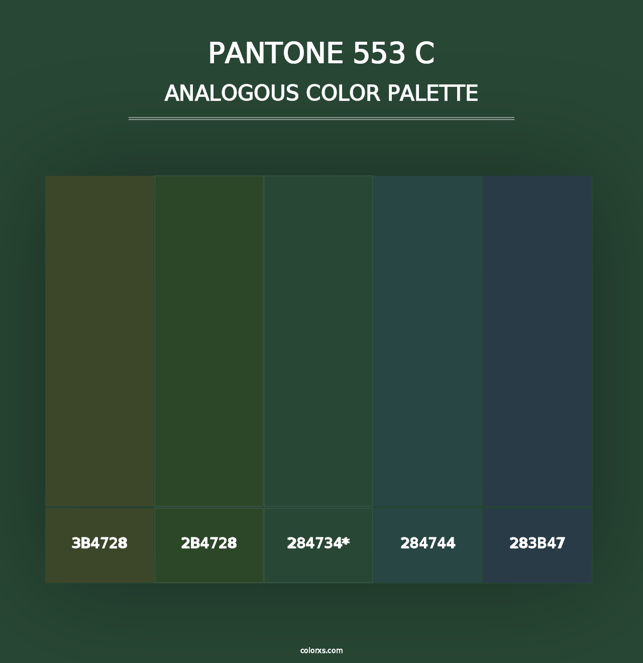 PANTONE 553 C - Analogous Color Palette