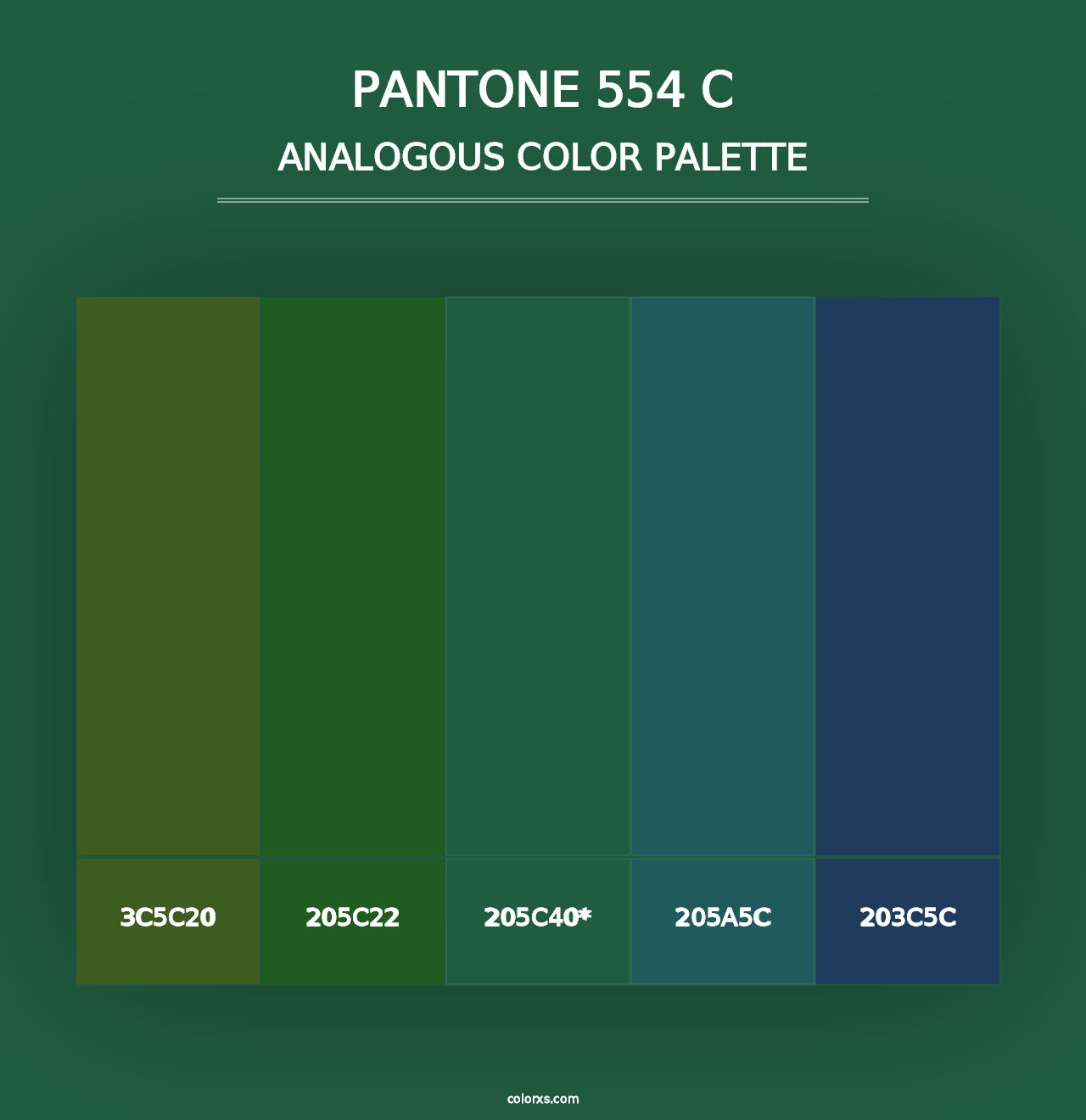 PANTONE 554 C - Analogous Color Palette