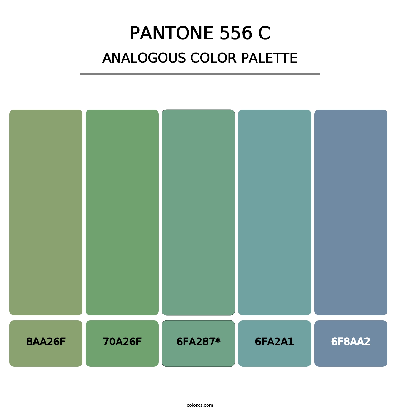 PANTONE 556 C - Analogous Color Palette