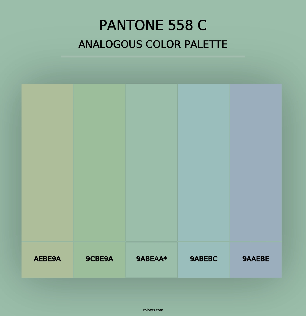 PANTONE 558 C - Analogous Color Palette