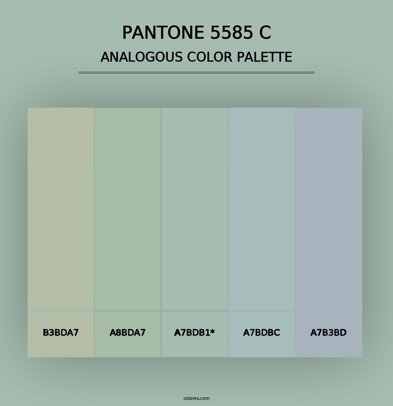 PANTONE 5585 C - Analogous Color Palette