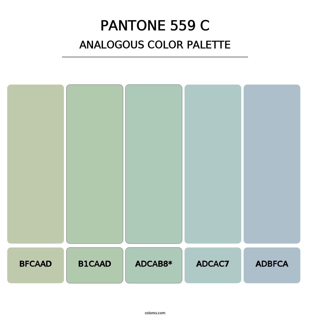 PANTONE 559 C - Analogous Color Palette