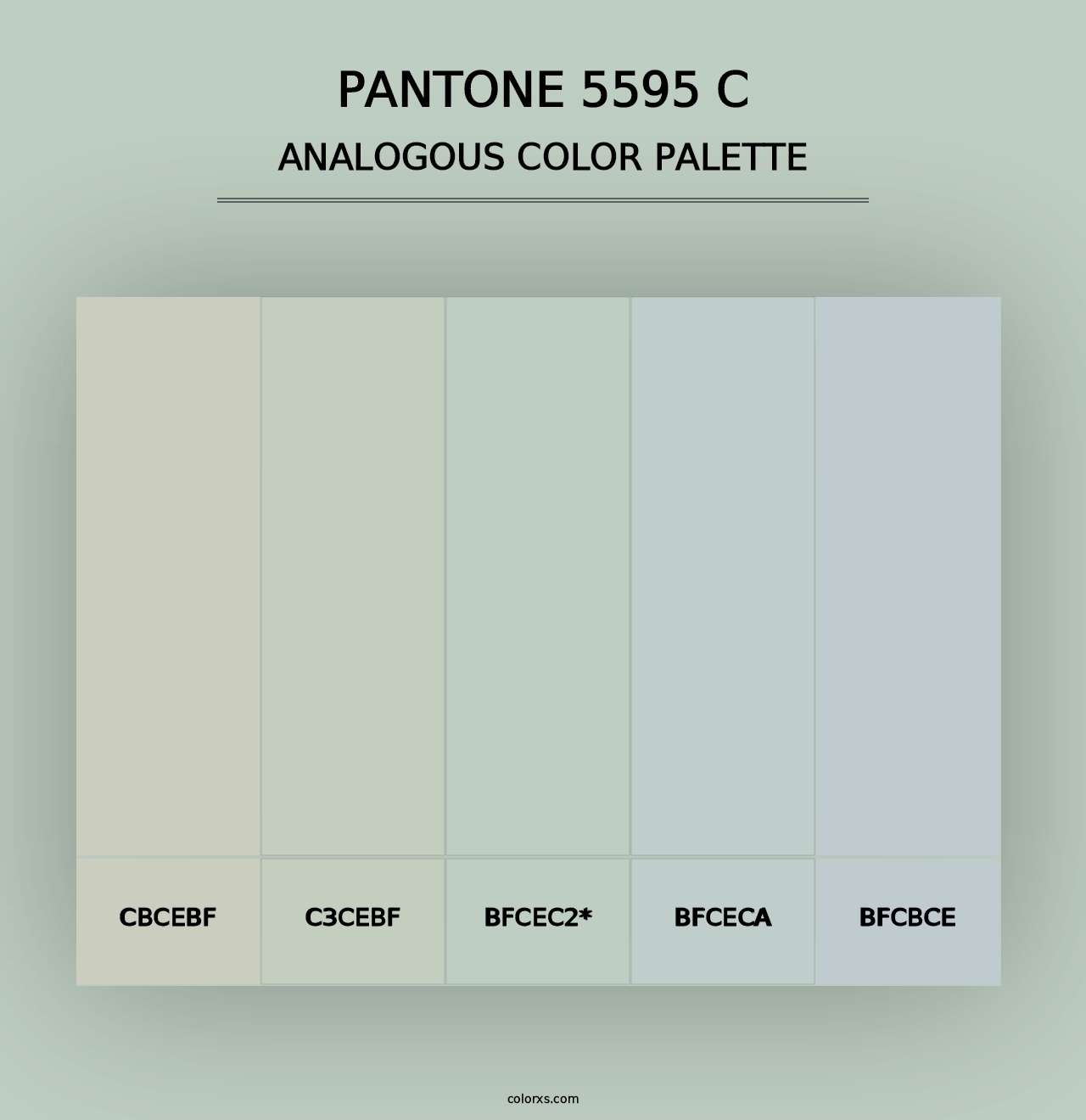 PANTONE 5595 C - Analogous Color Palette