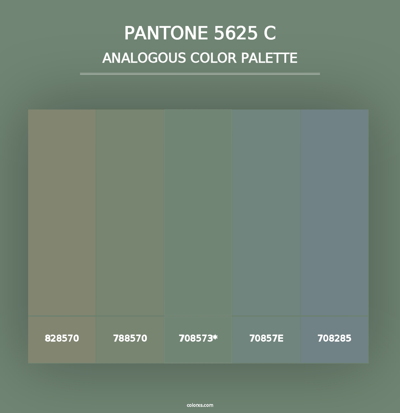 PANTONE 5625 C - Analogous Color Palette