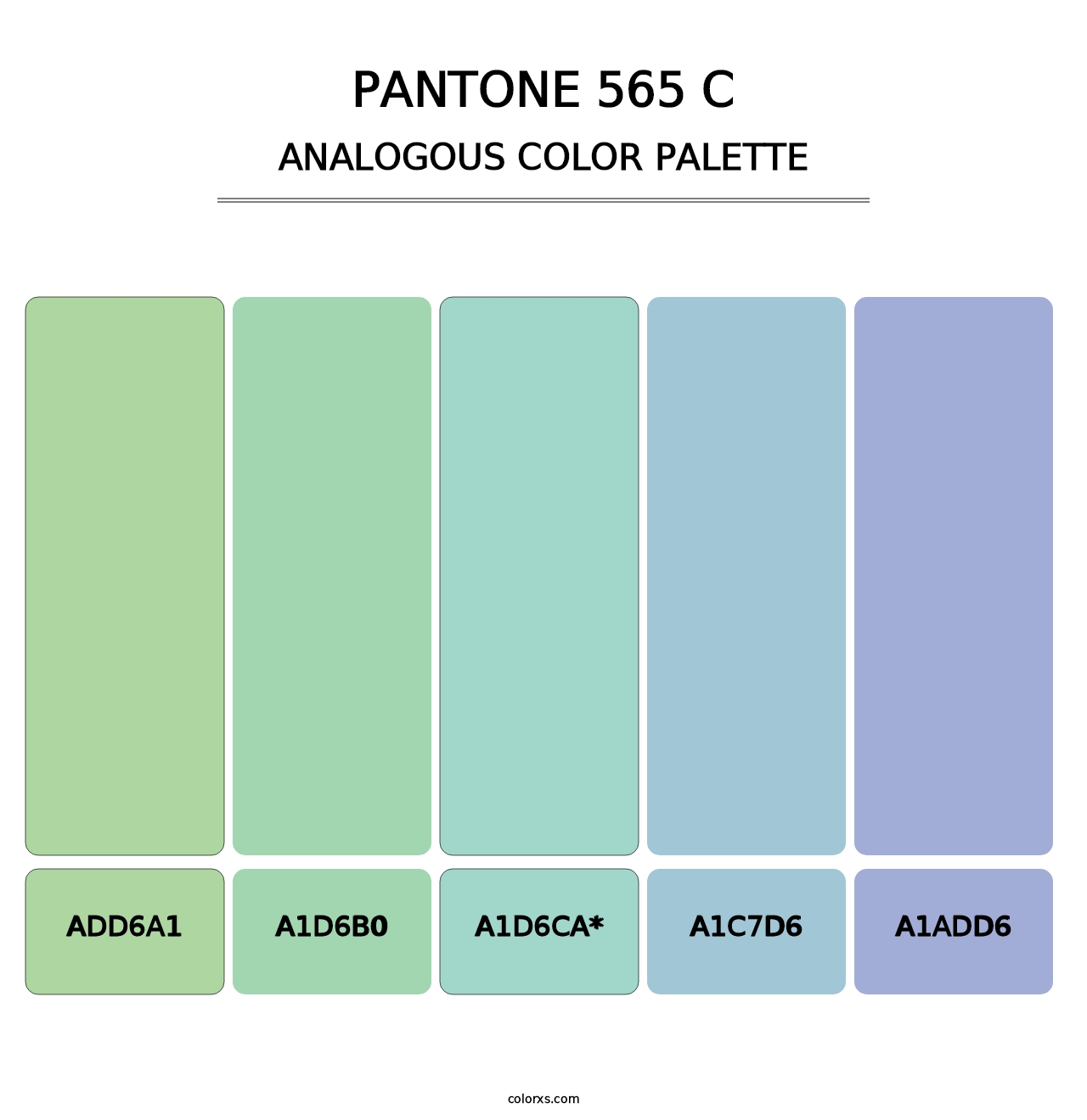 PANTONE 565 C - Analogous Color Palette