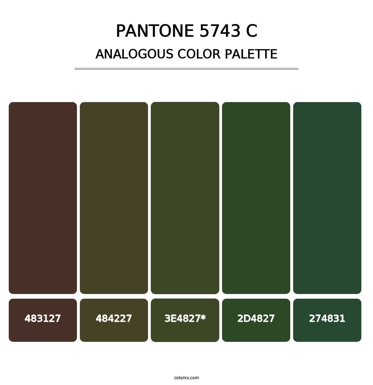 PANTONE 5743 C - Analogous Color Palette