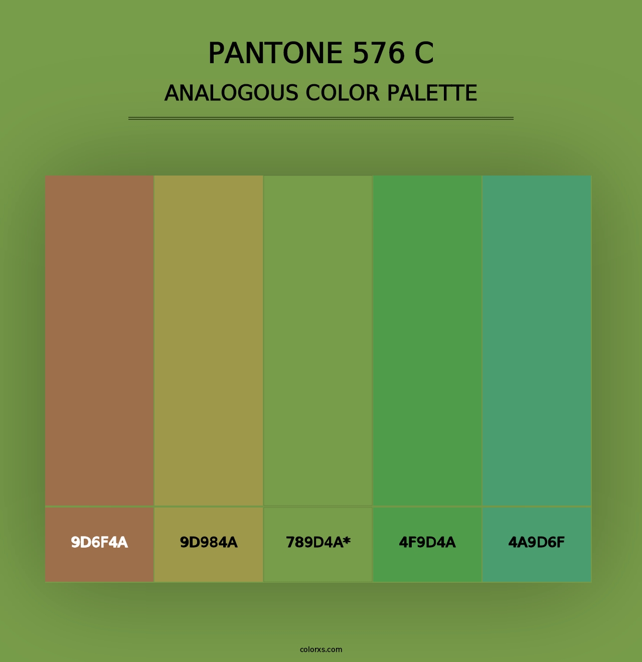 PANTONE 576 C - Analogous Color Palette