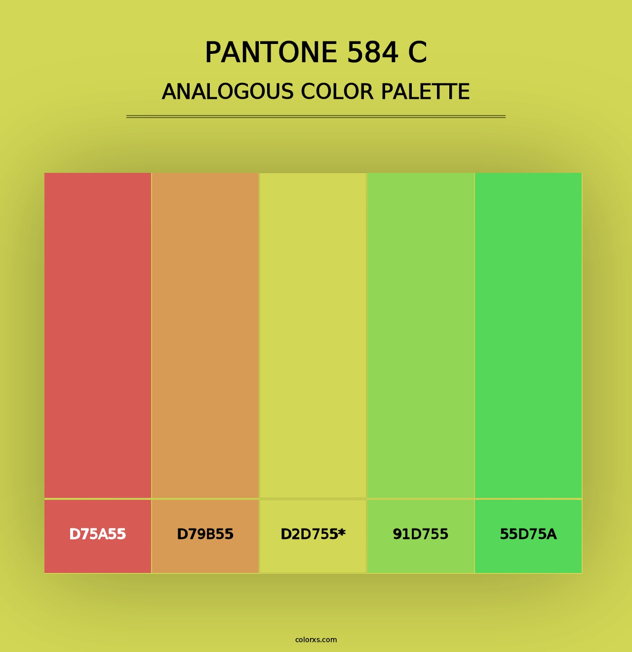 PANTONE 584 C - Analogous Color Palette