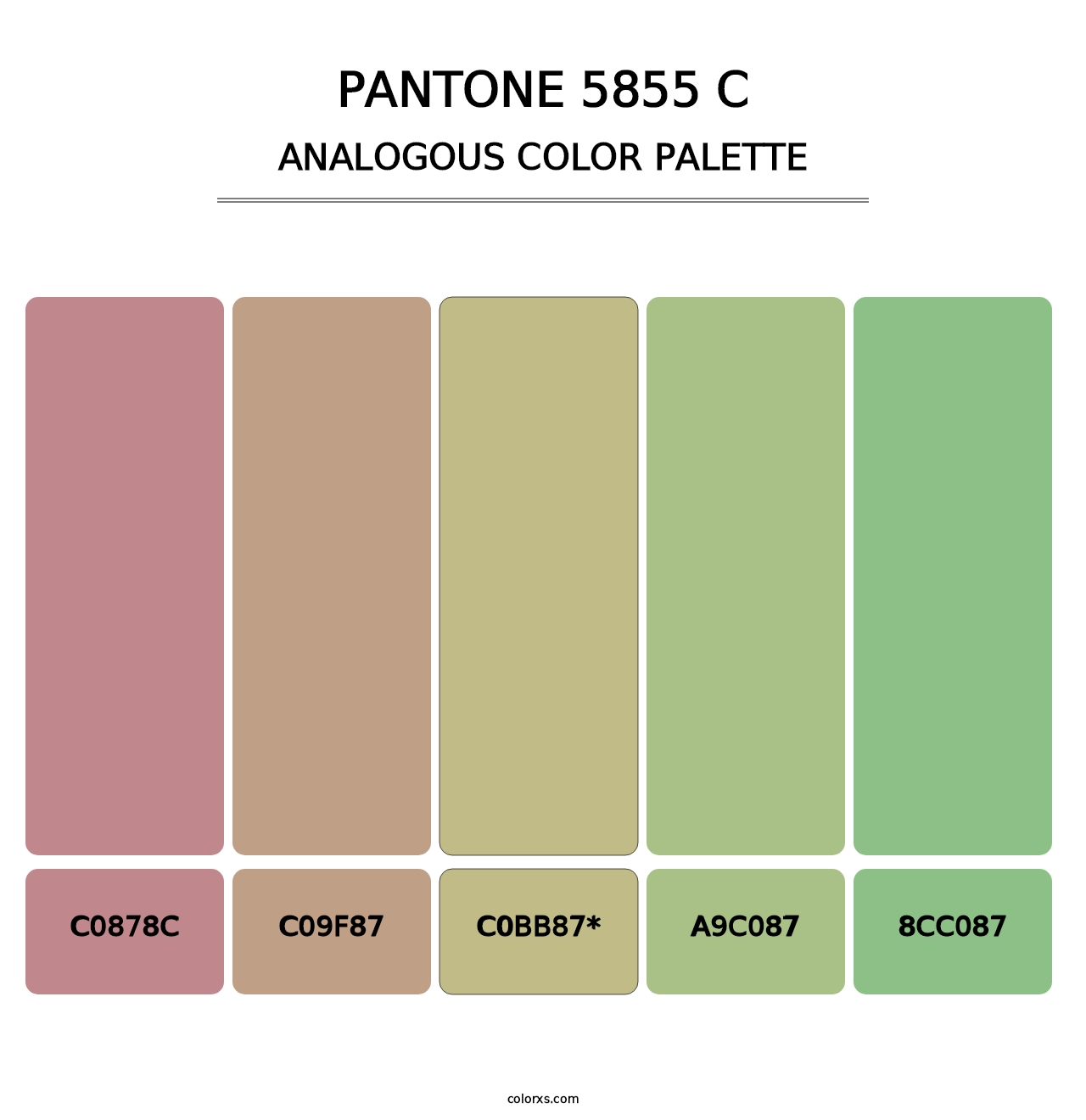 PANTONE 5855 C - Analogous Color Palette