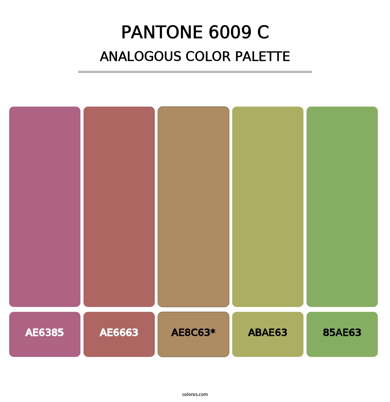 PANTONE 6009 C - Analogous Color Palette