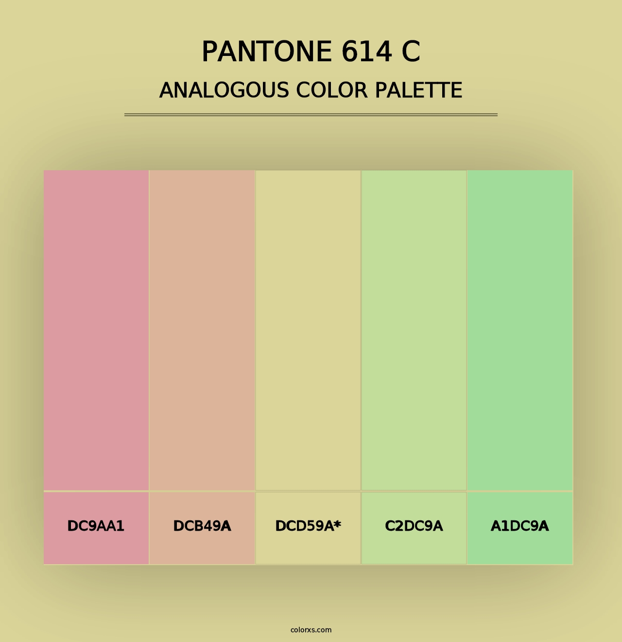 PANTONE 614 C - Analogous Color Palette