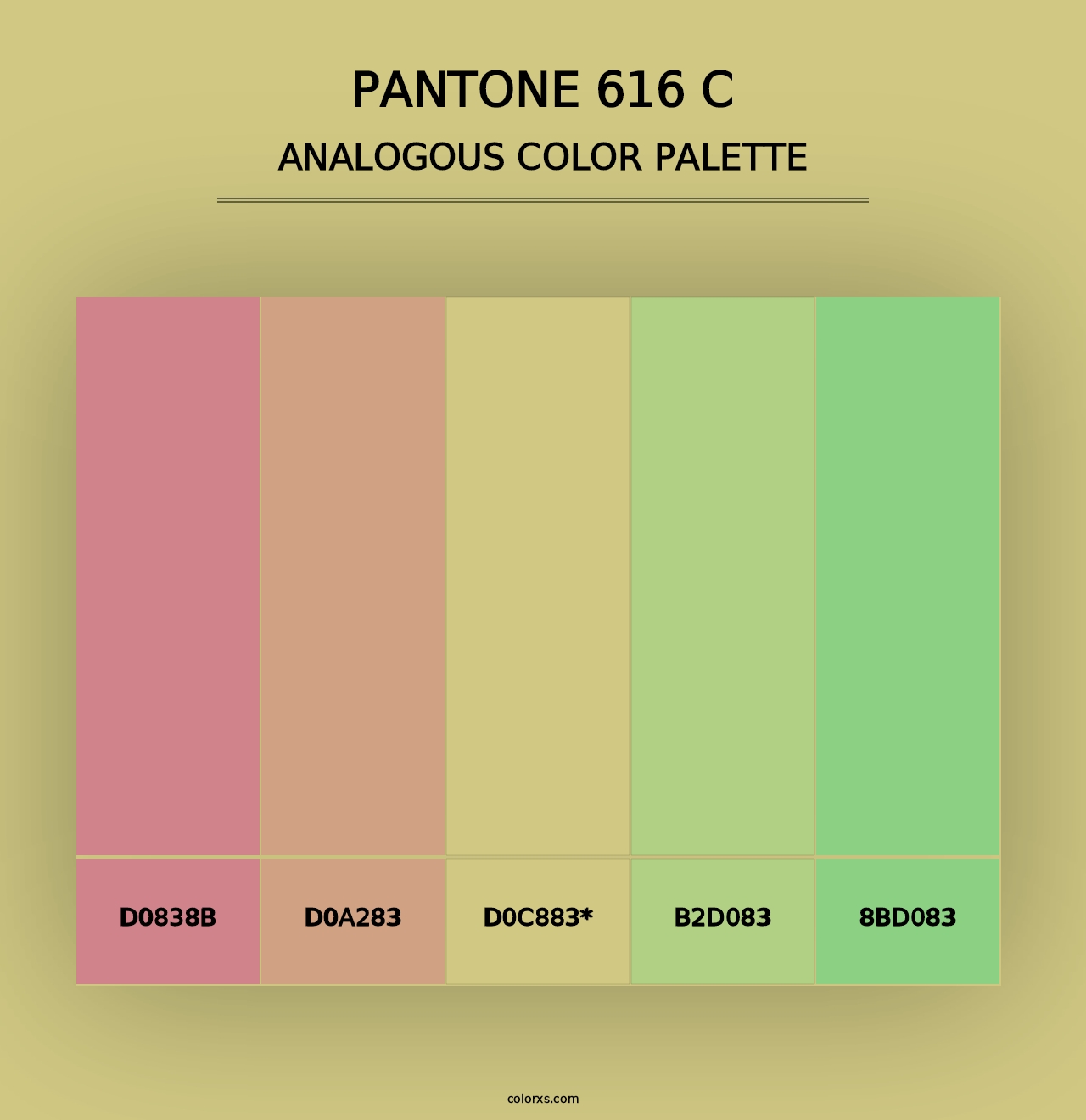 PANTONE 616 C - Analogous Color Palette