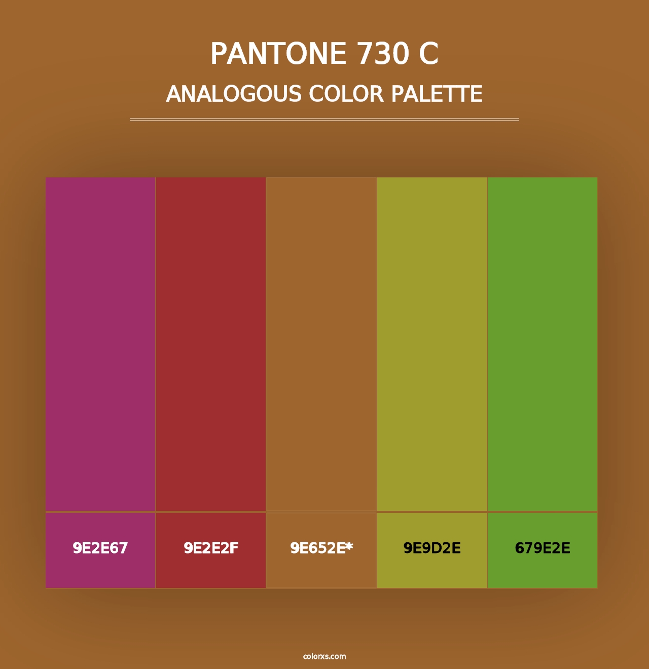 PANTONE 730 C - Analogous Color Palette