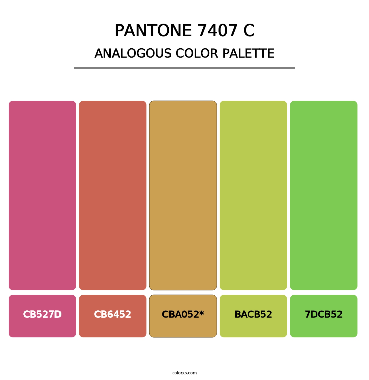 PANTONE 7407 C - Analogous Color Palette