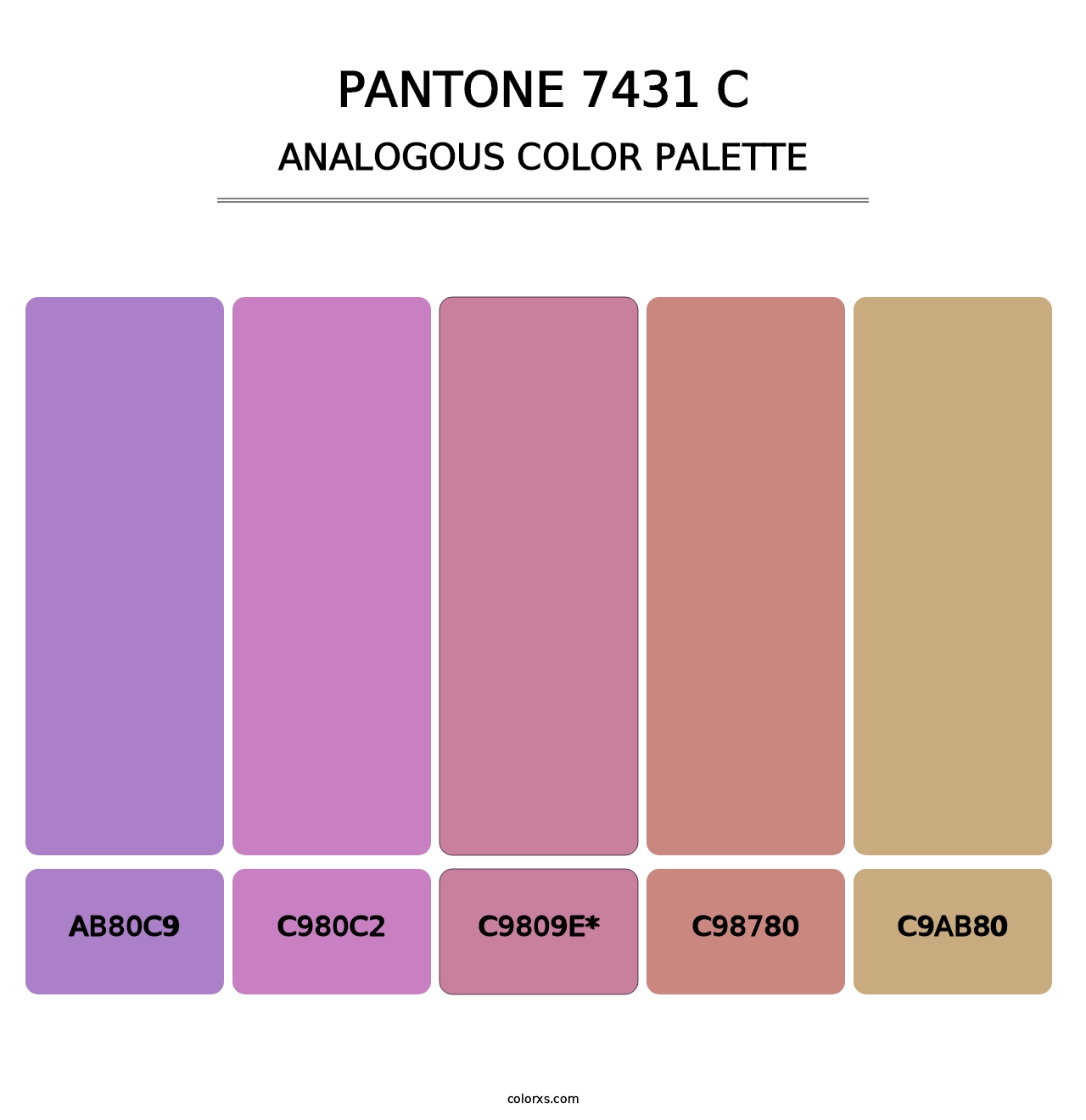 PANTONE 7431 C - Analogous Color Palette