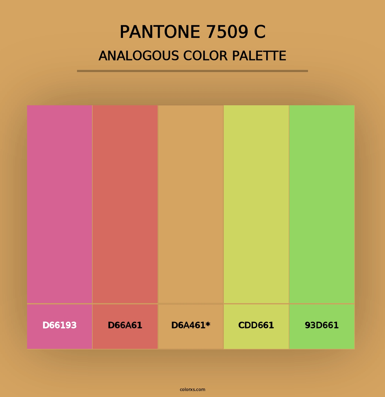 PANTONE 7509 C - Analogous Color Palette