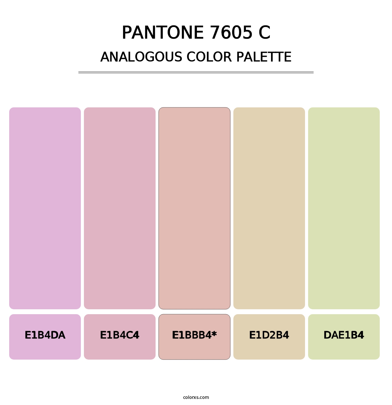 PANTONE 7605 C - Analogous Color Palette