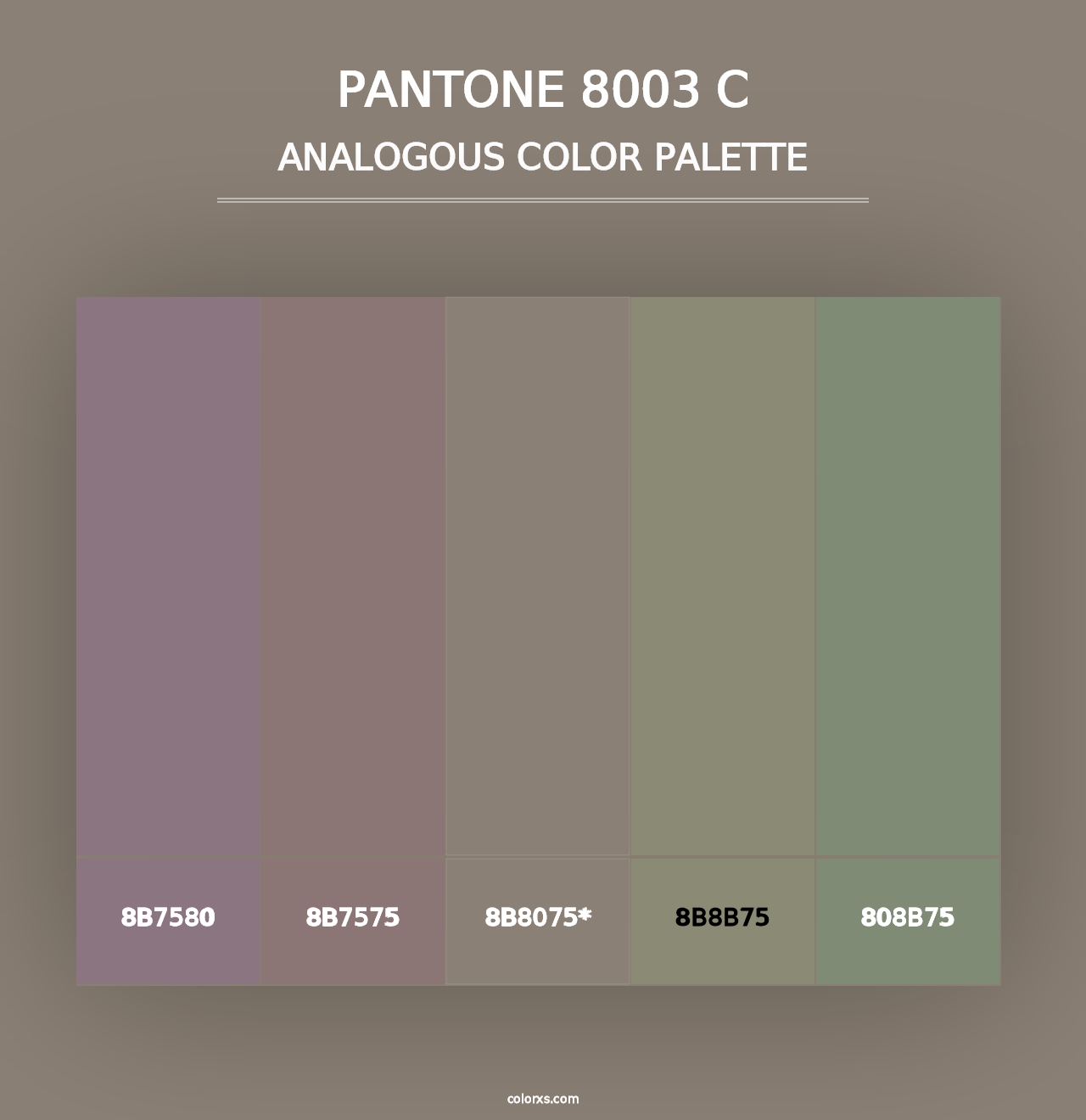 PANTONE 8003 C - Analogous Color Palette