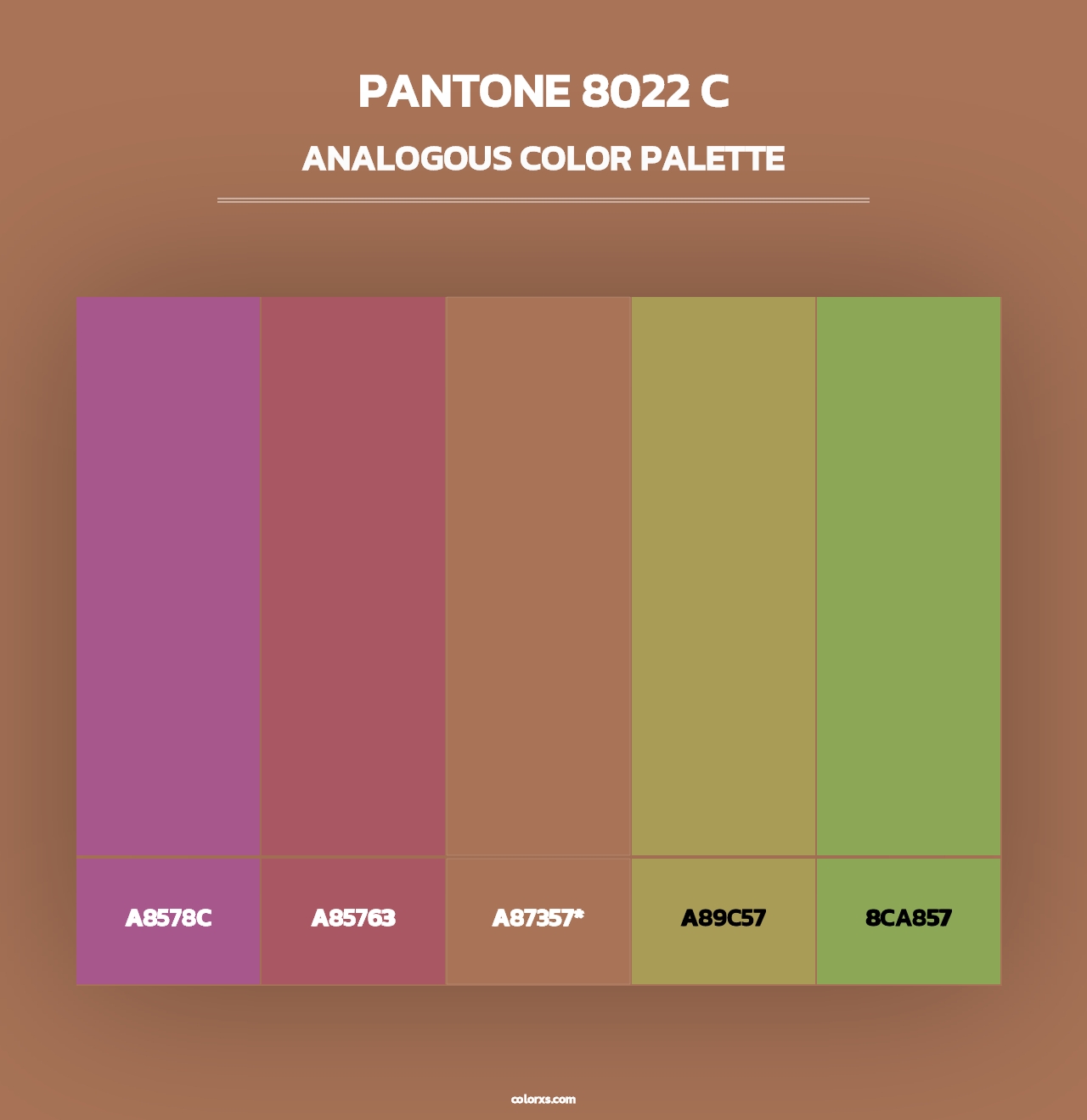 PANTONE 8022 C - Analogous Color Palette