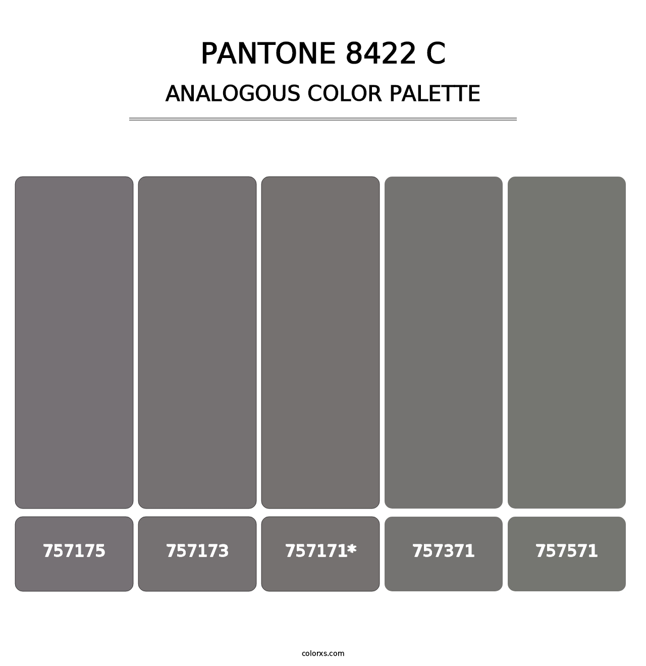 PANTONE 8422 C - Analogous Color Palette