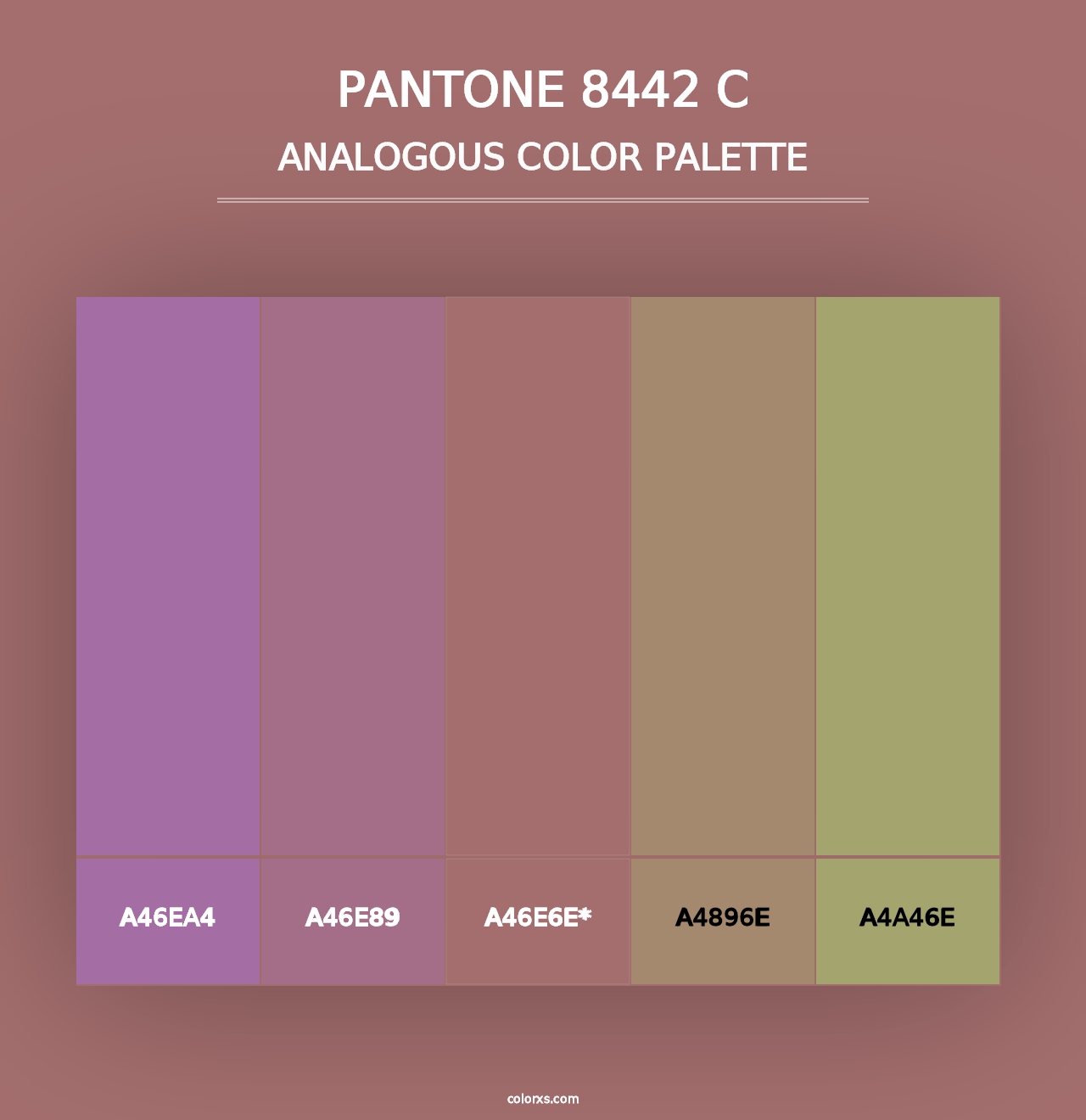 PANTONE 8442 C - Analogous Color Palette