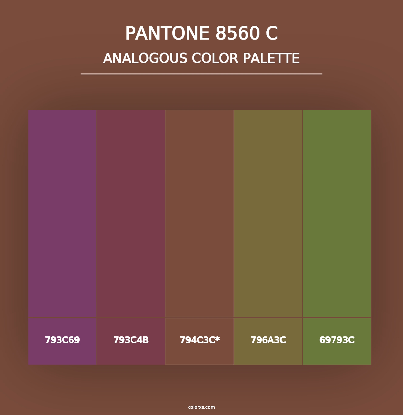 PANTONE 8560 C - Analogous Color Palette