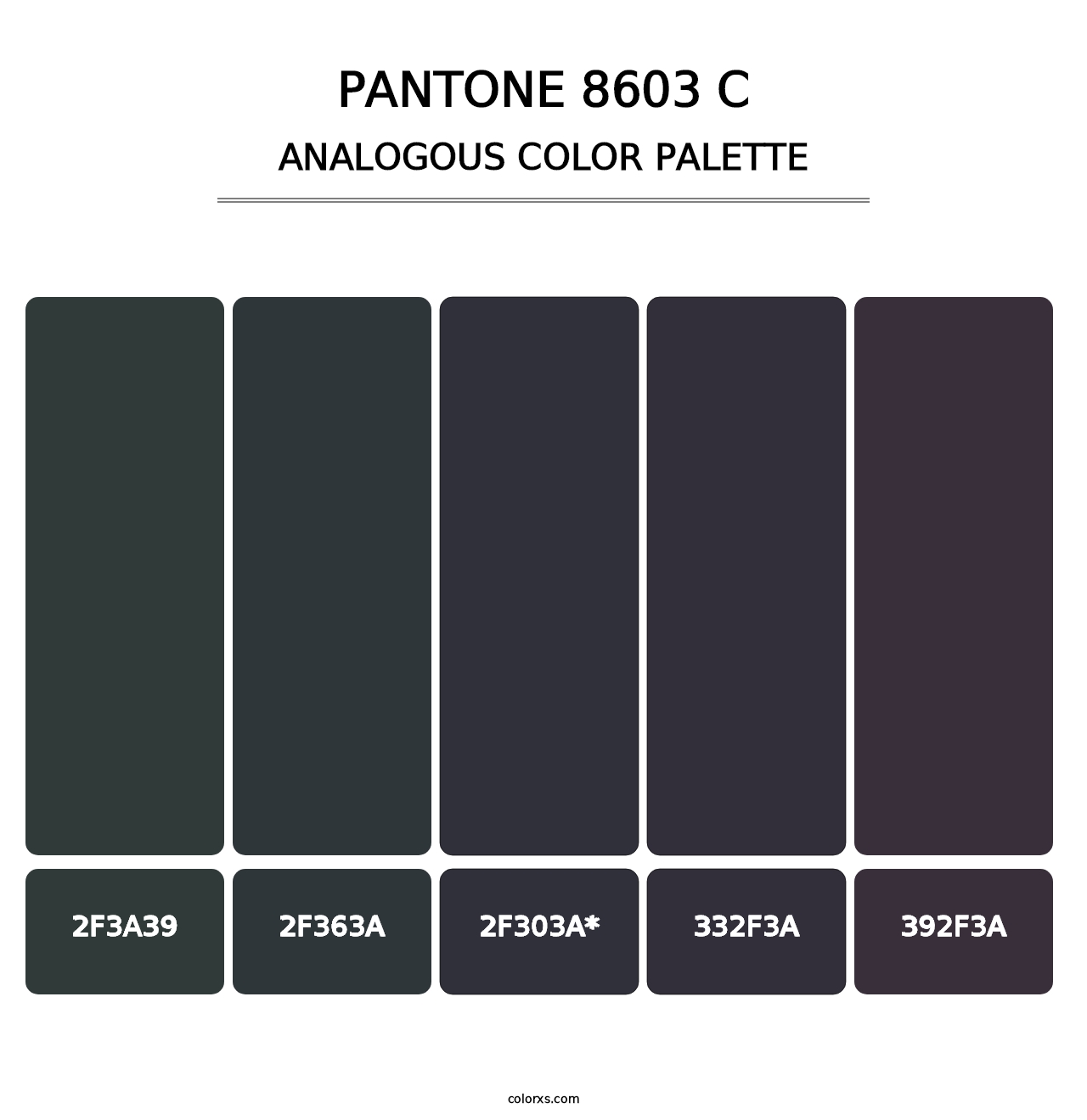 PANTONE 8603 C - Analogous Color Palette