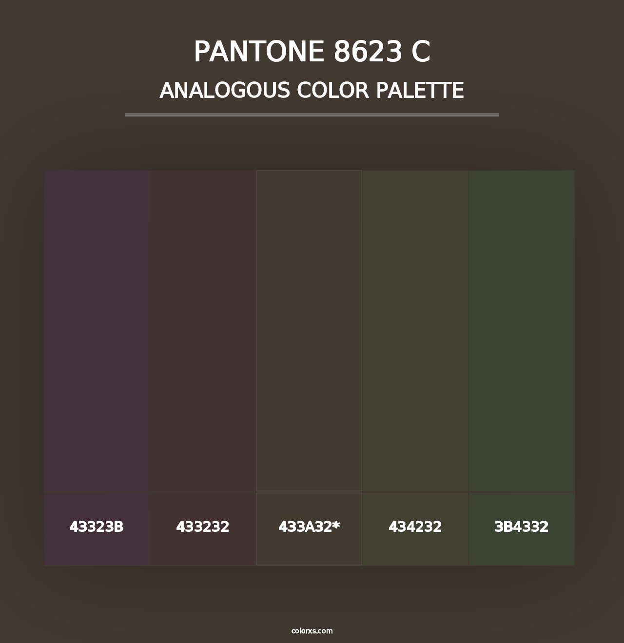 PANTONE 8623 C - Analogous Color Palette