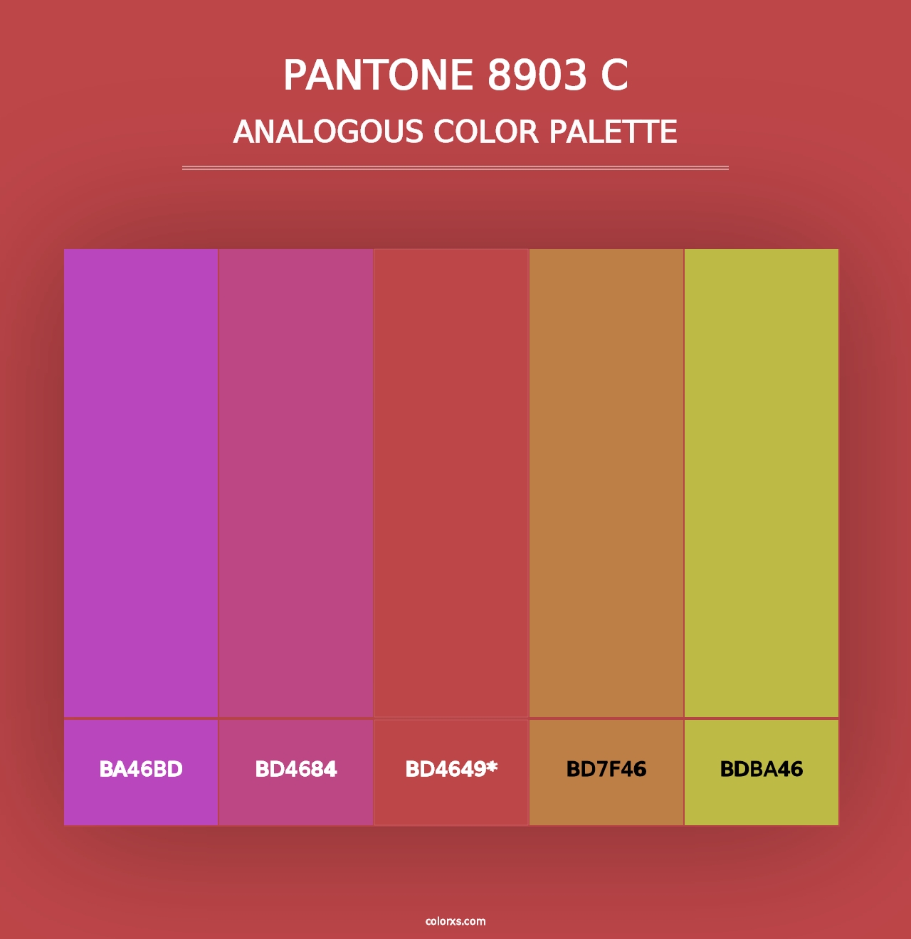 PANTONE 8903 C - Analogous Color Palette