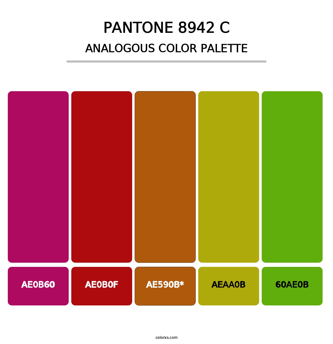 PANTONE 8942 C - Analogous Color Palette