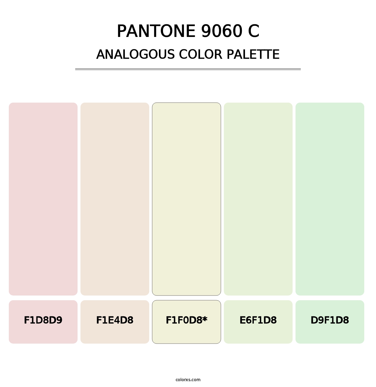 PANTONE 9060 C - Analogous Color Palette