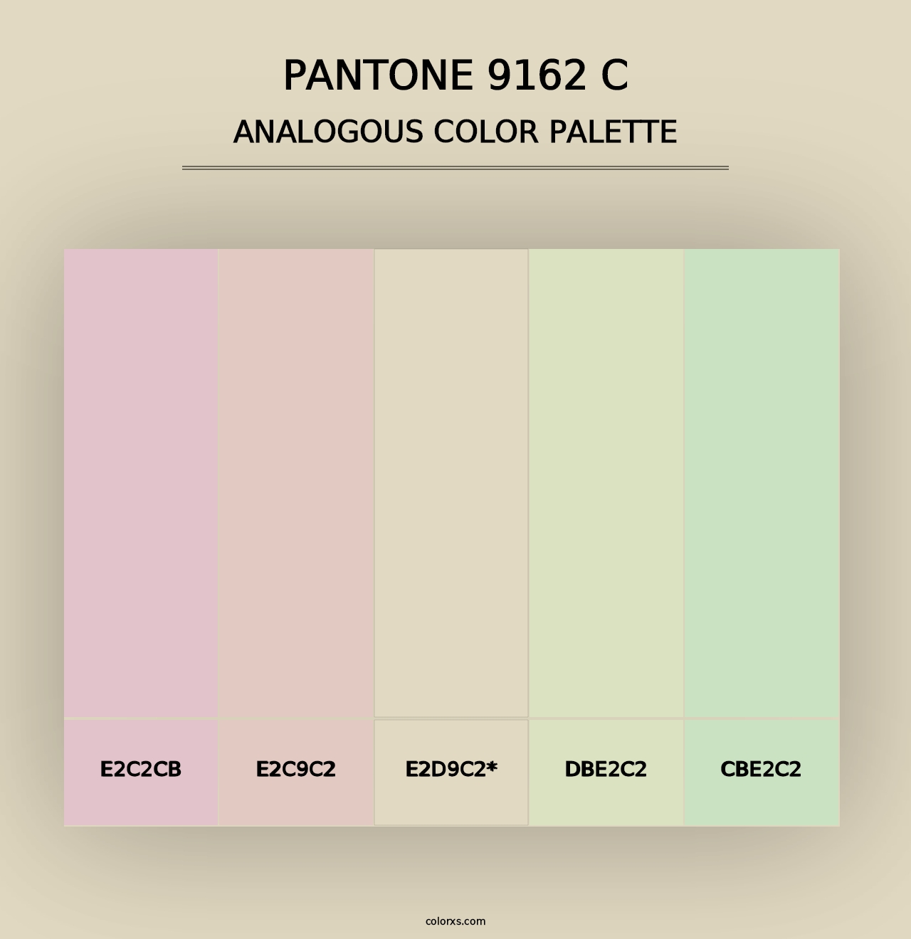 PANTONE 9162 C - Analogous Color Palette