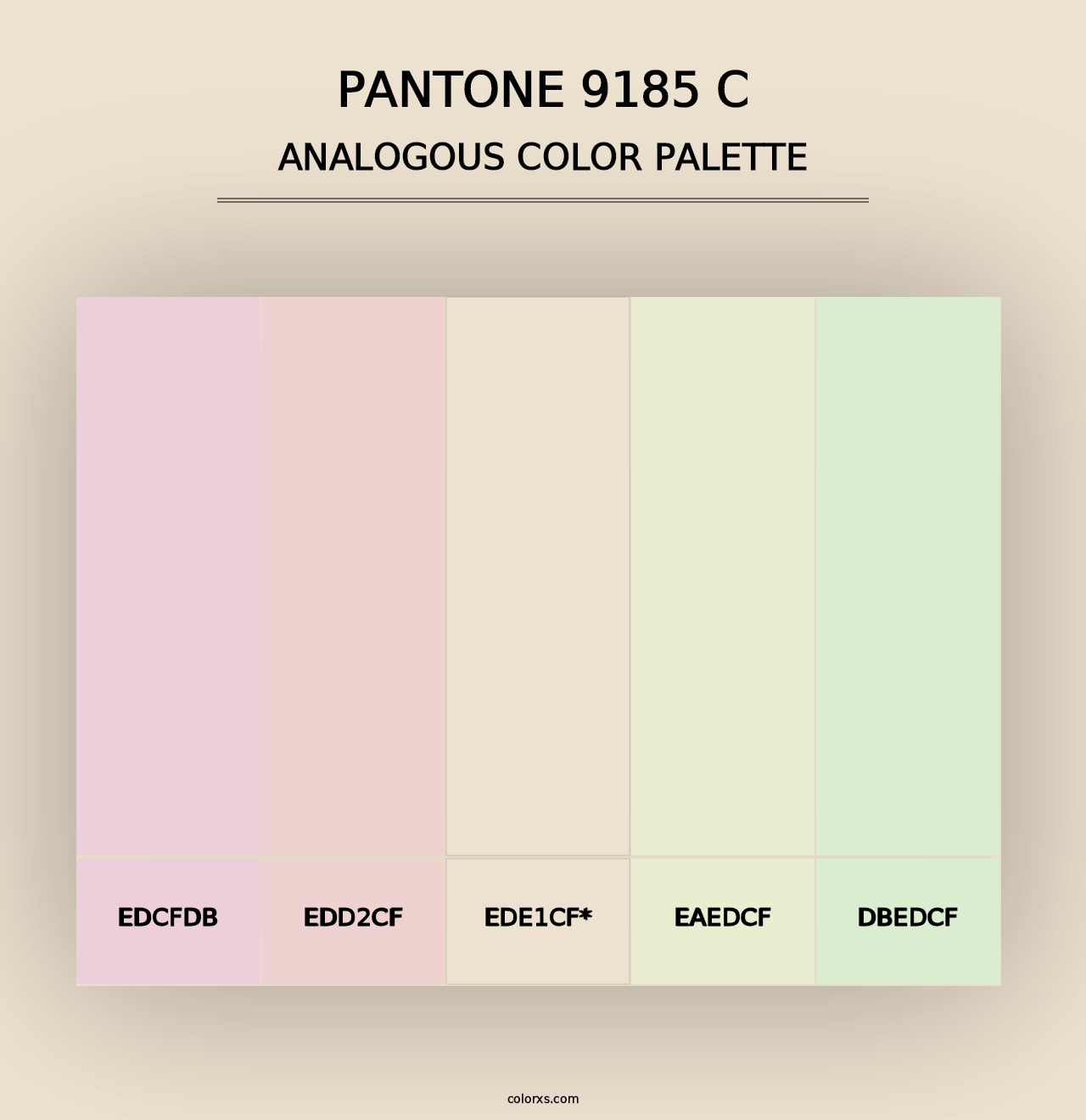 PANTONE 9185 C - Analogous Color Palette