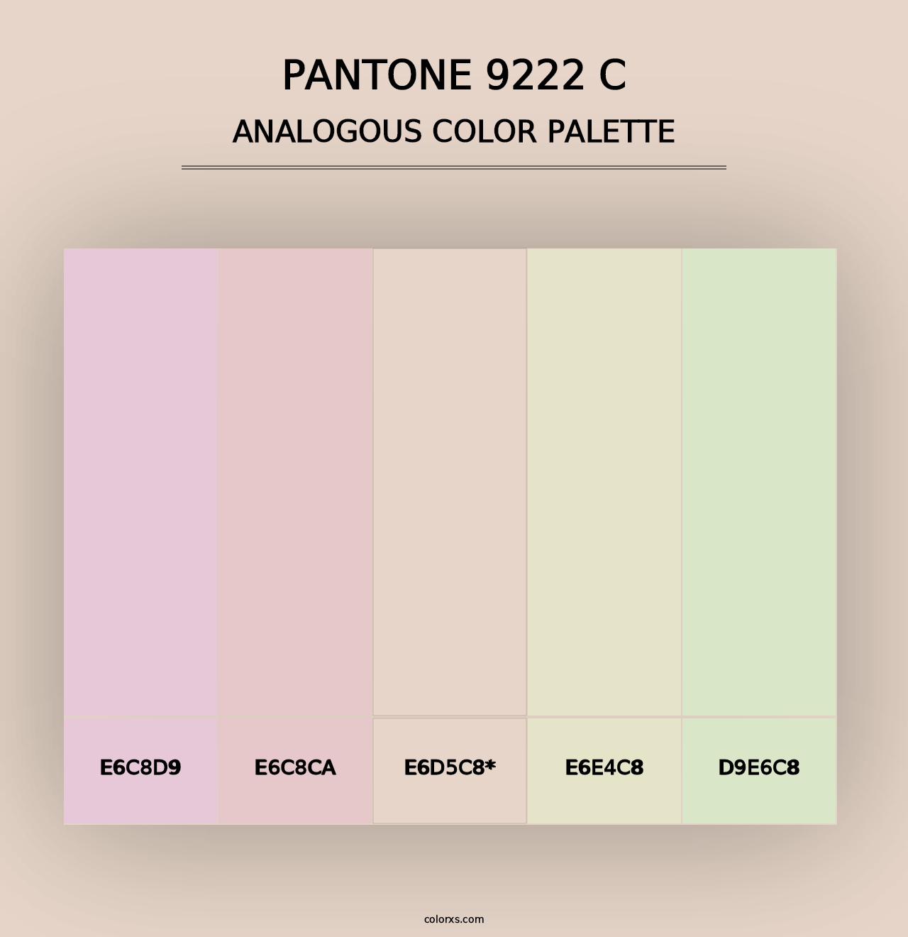 PANTONE 9222 C - Analogous Color Palette