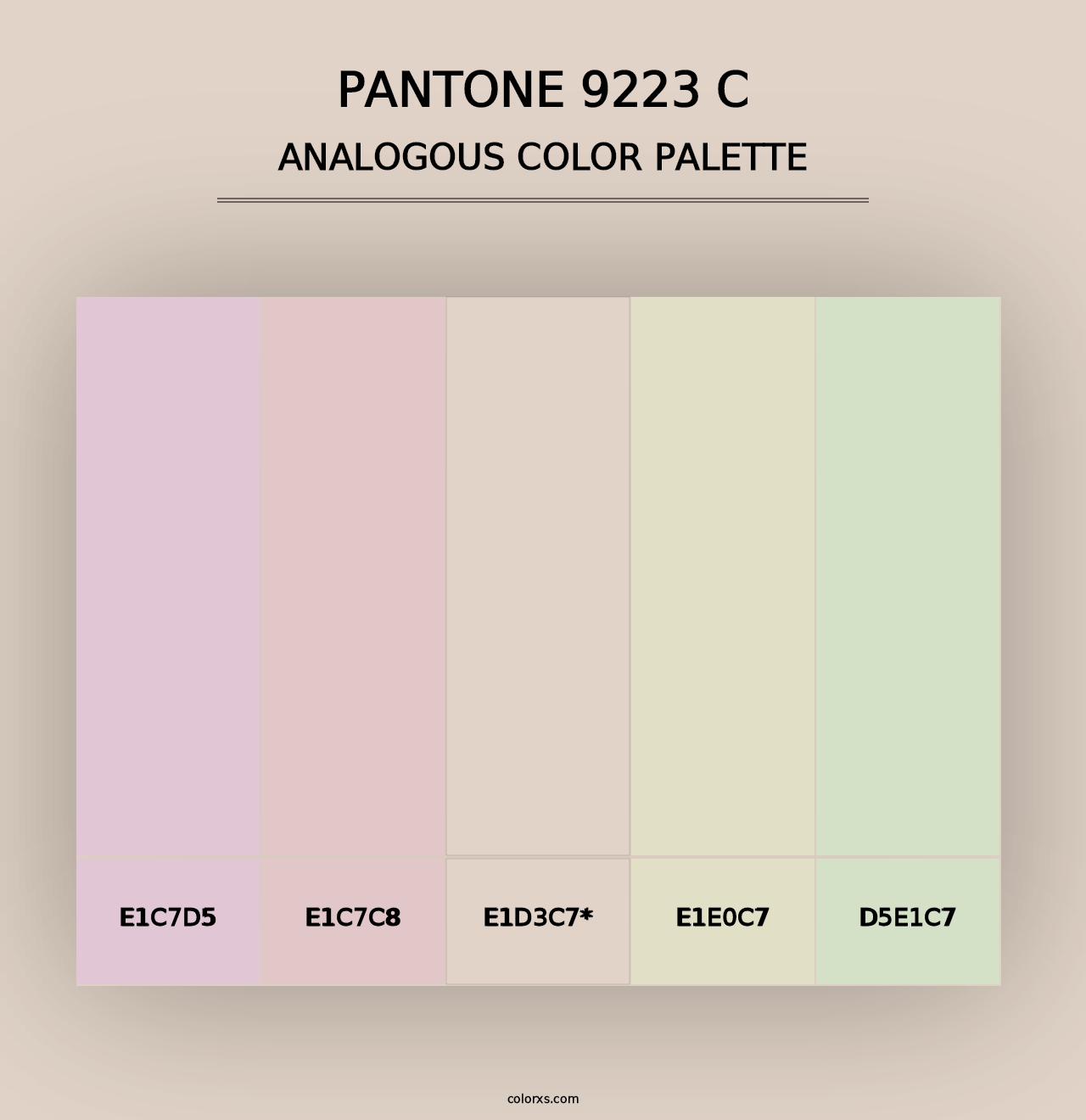 PANTONE 9223 C - Analogous Color Palette