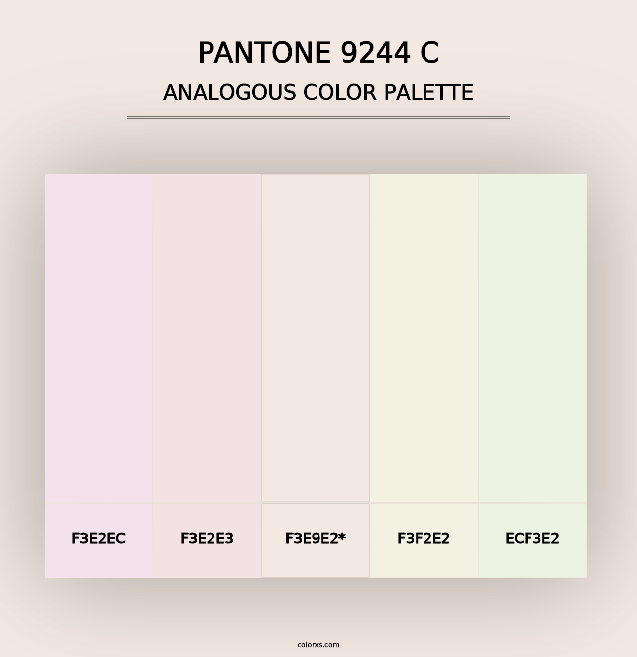 PANTONE 9244 C - Analogous Color Palette