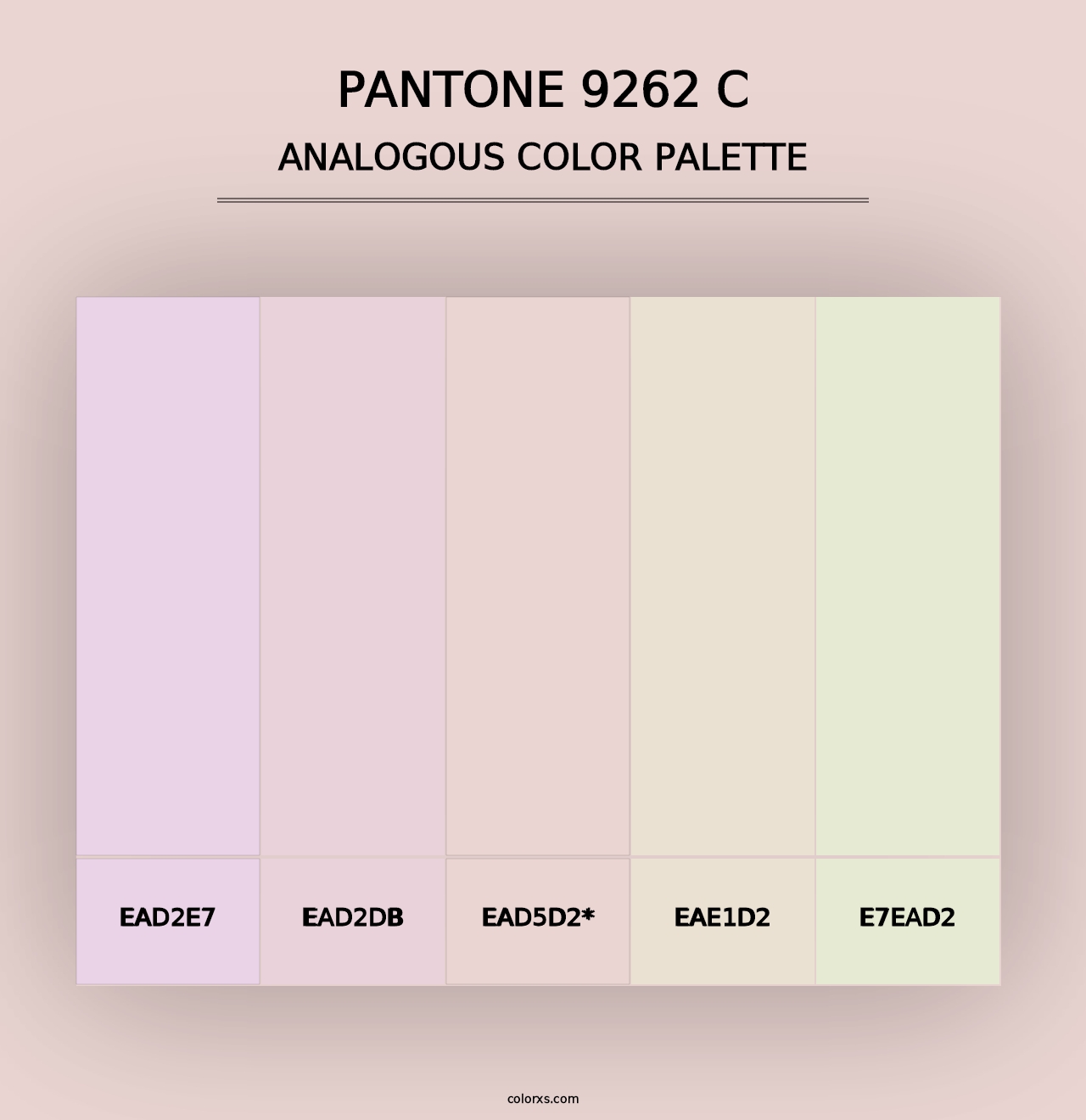 PANTONE 9262 C - Analogous Color Palette