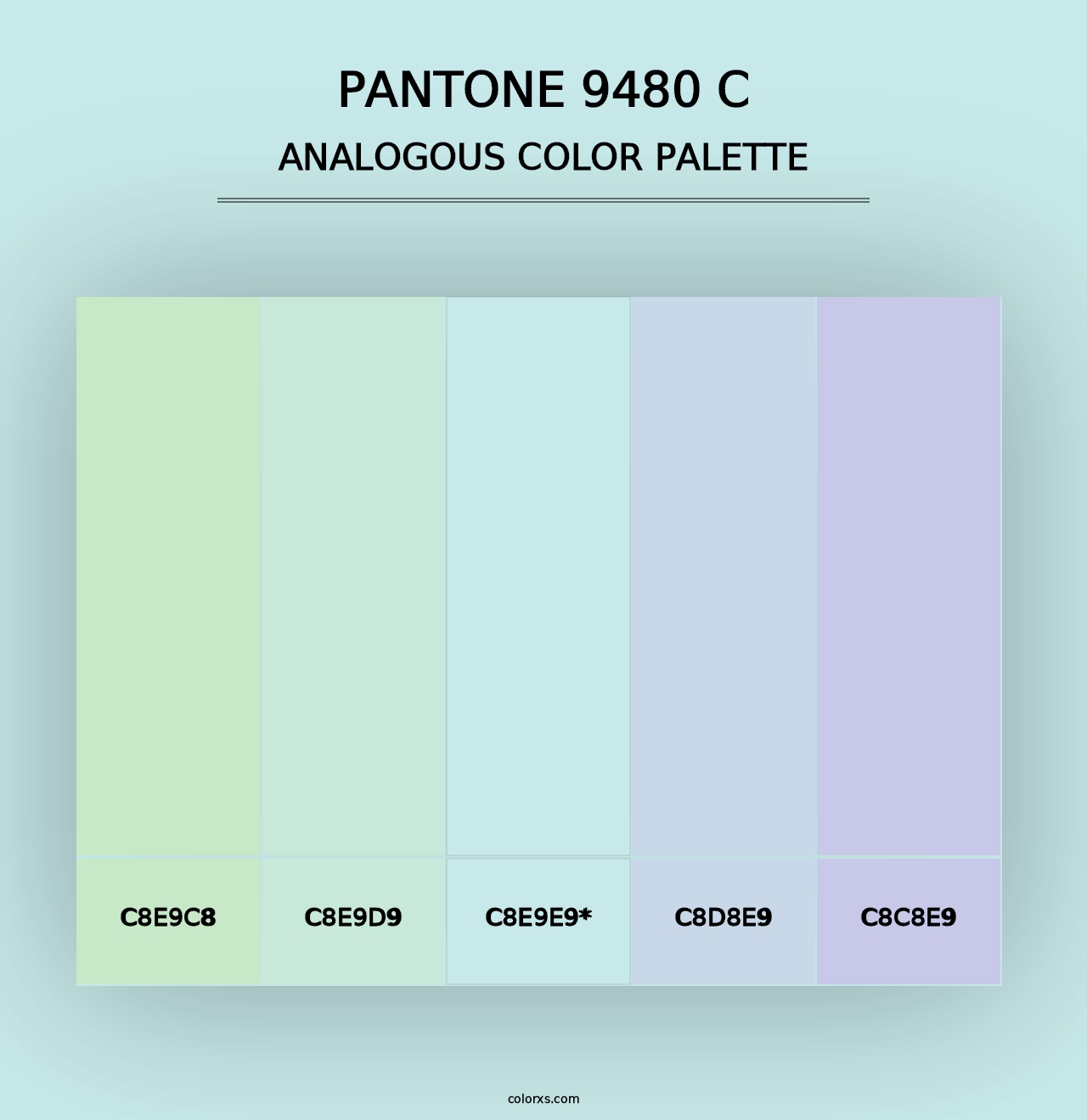 PANTONE 9480 C - Analogous Color Palette