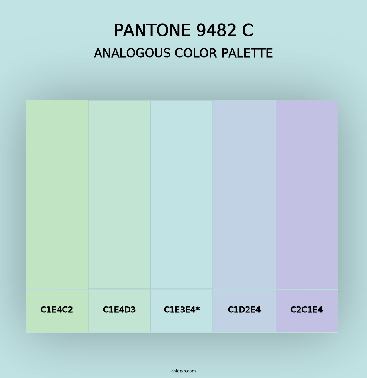 PANTONE 9482 C - Analogous Color Palette