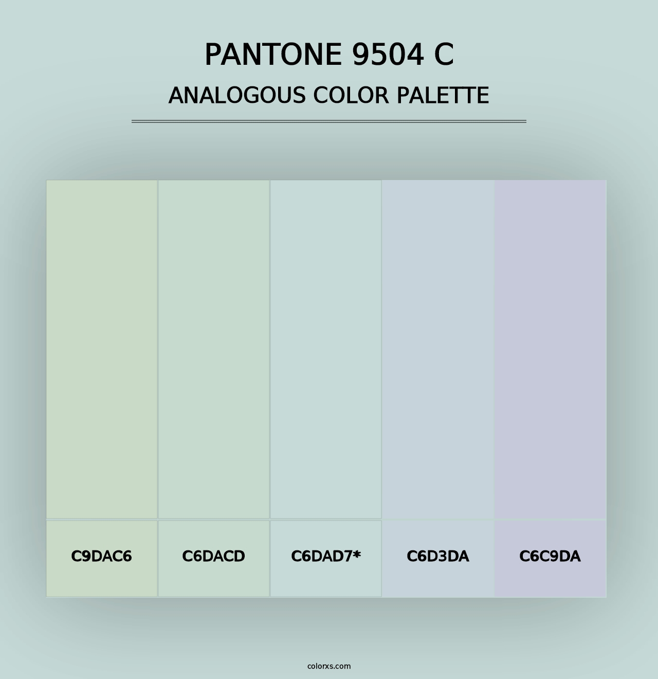 PANTONE 9504 C - Analogous Color Palette