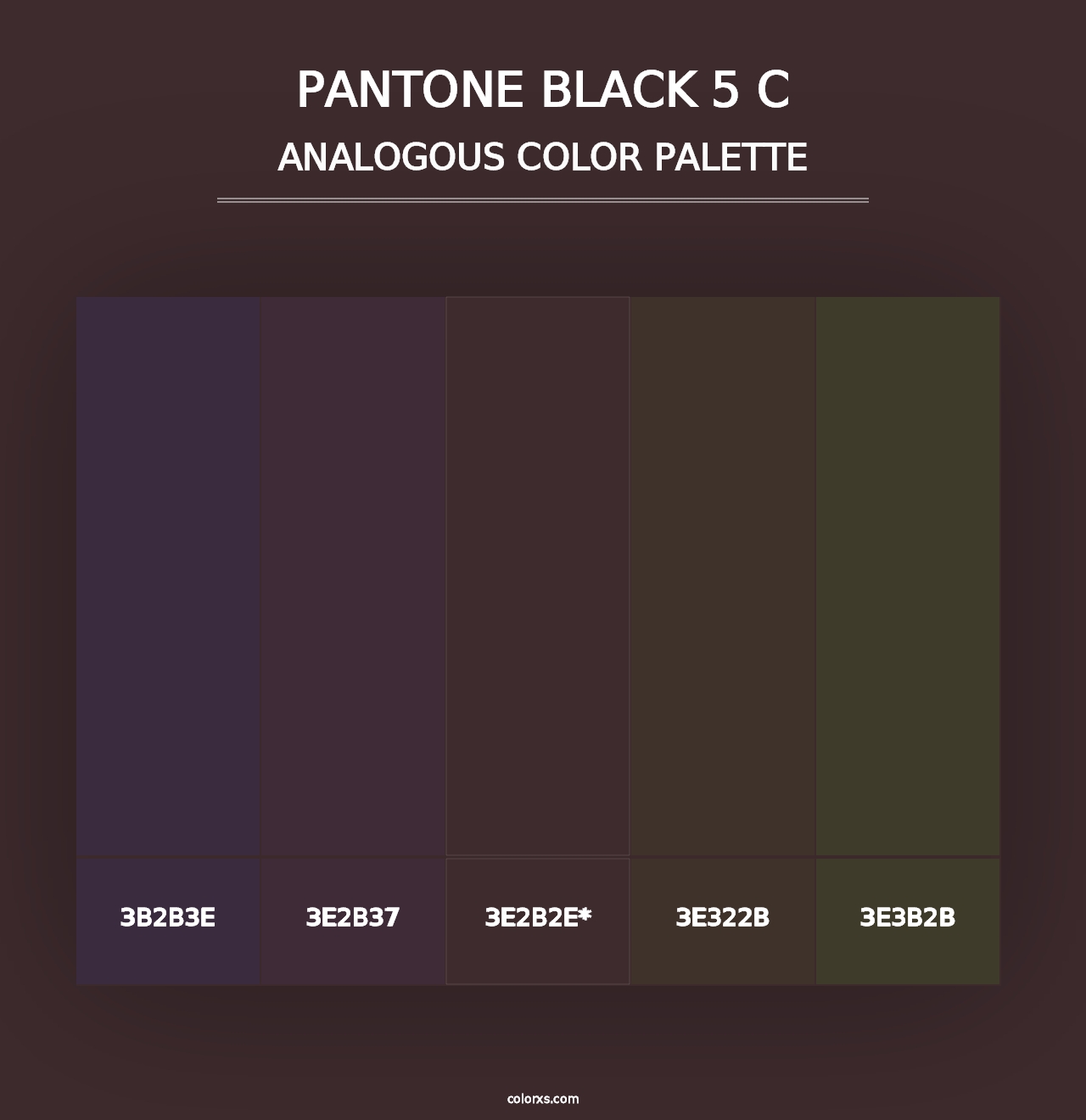 PANTONE Black 5 C - Analogous Color Palette