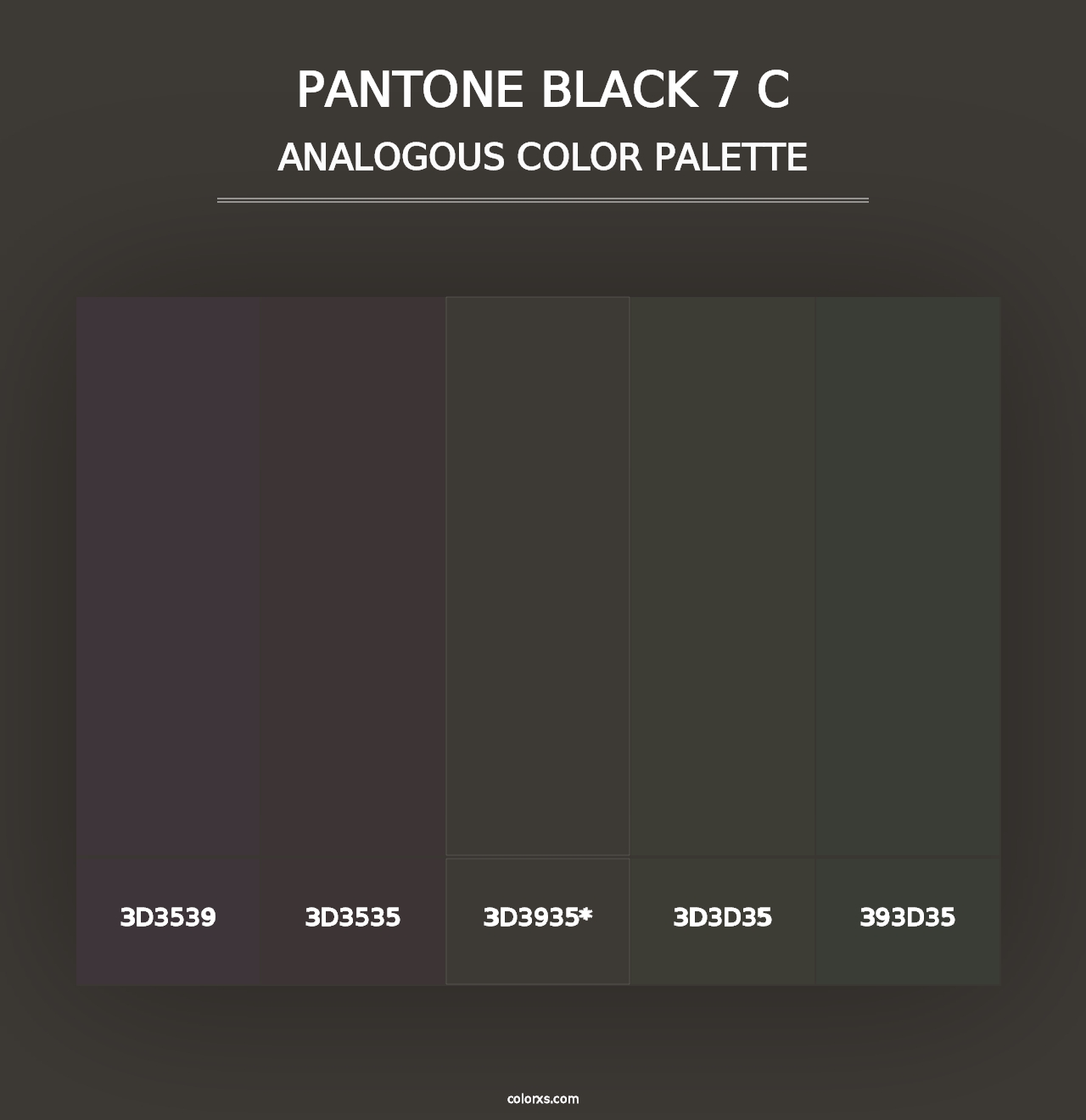 PANTONE Black 7 C - Analogous Color Palette