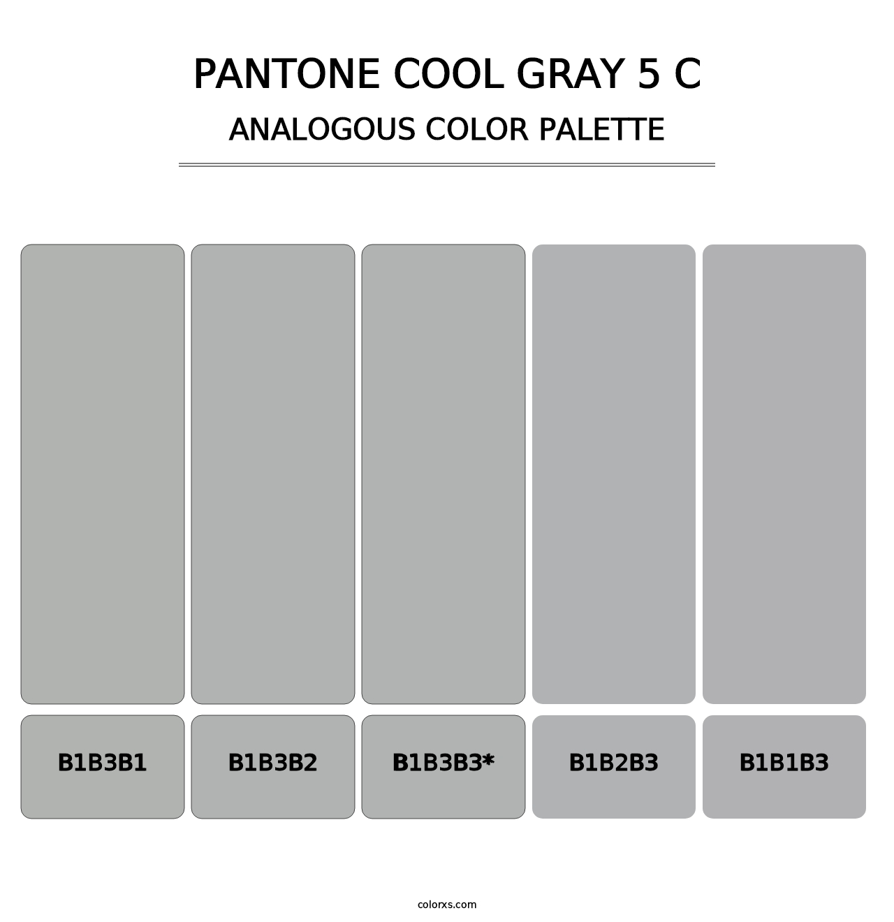 PANTONE Cool Gray 5 C - Analogous Color Palette