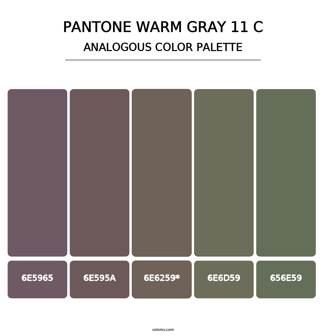 PANTONE Warm Gray 11 C - Analogous Color Palette