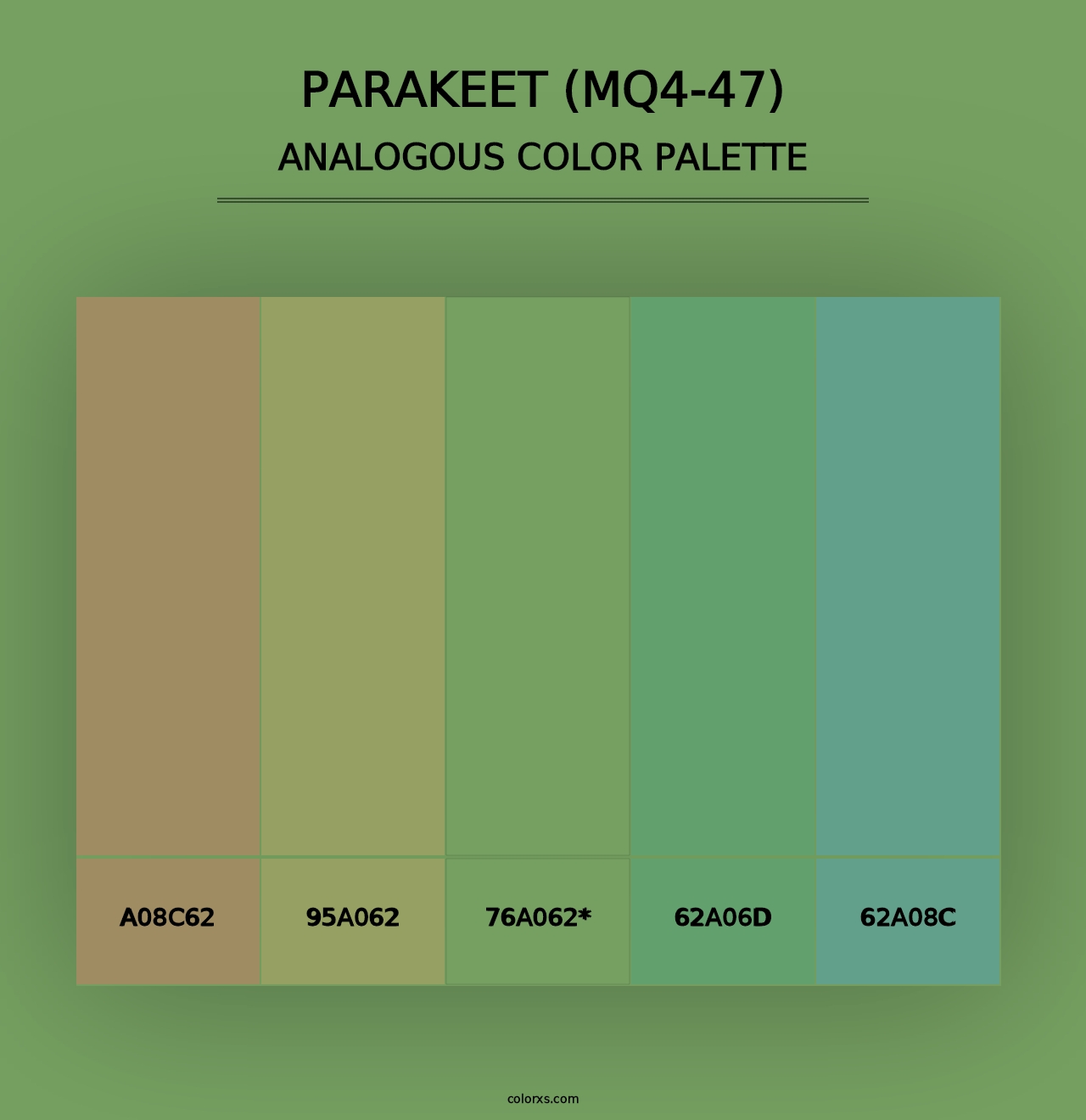 Parakeet (MQ4-47) - Analogous Color Palette