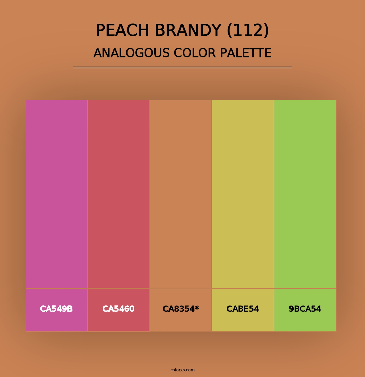 Peach Brandy (112) - Analogous Color Palette