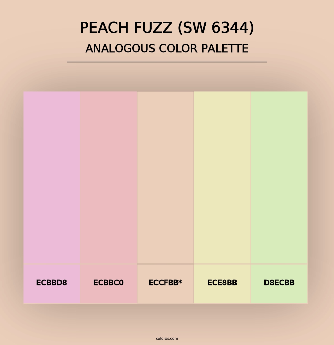 Peach Fuzz (SW 6344) - Analogous Color Palette